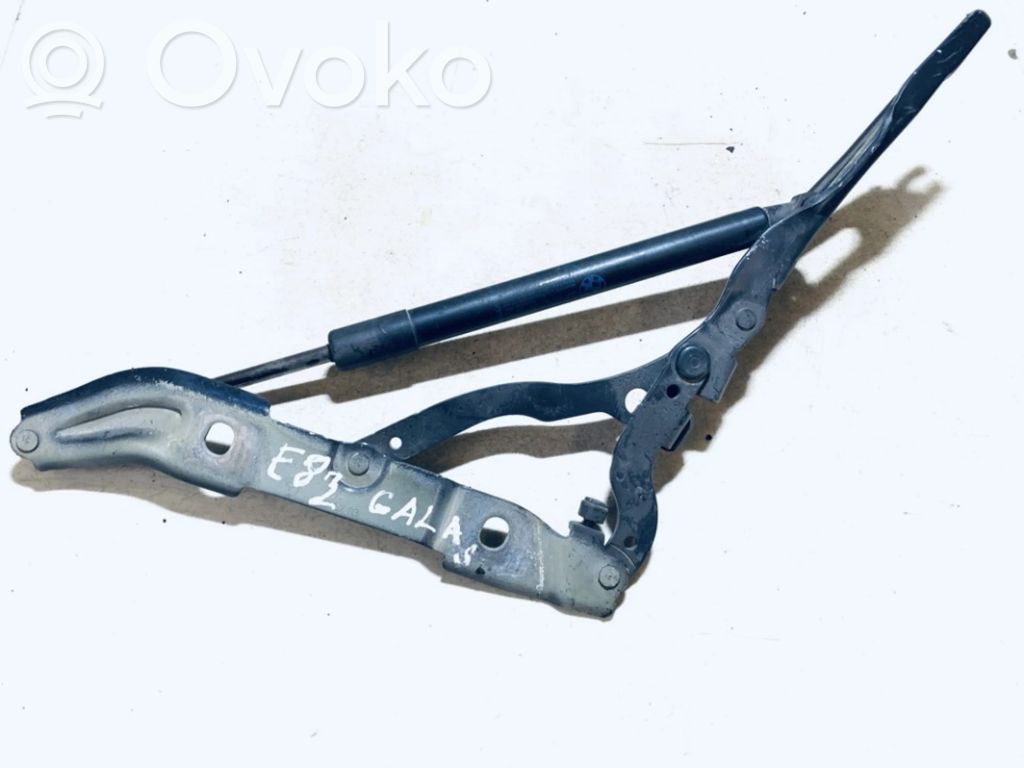 BMW 1 E81 E87 Tailgate/trunk/boot hinge 