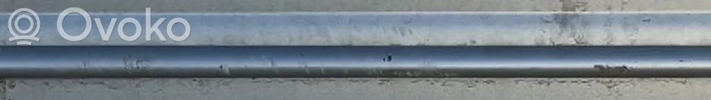 Chrysler 300M Listwa drzwi