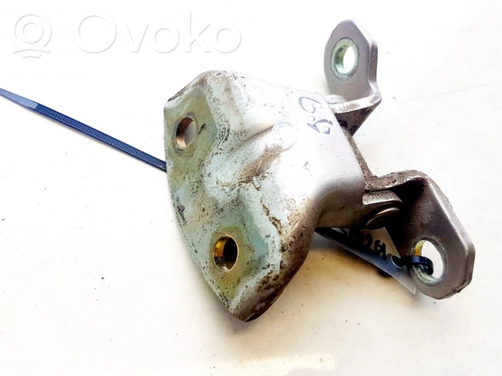 Tailgate/trunk/boot hinge