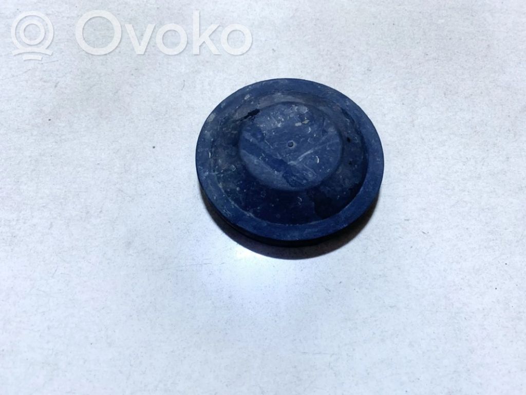 Volkswagen PASSAT B5 Osłona żarówki lampy przedniej 