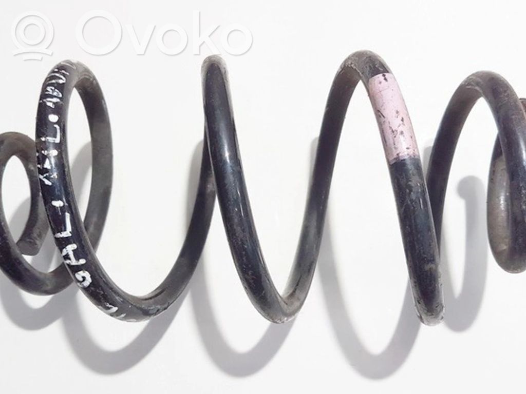 Rear coil spring