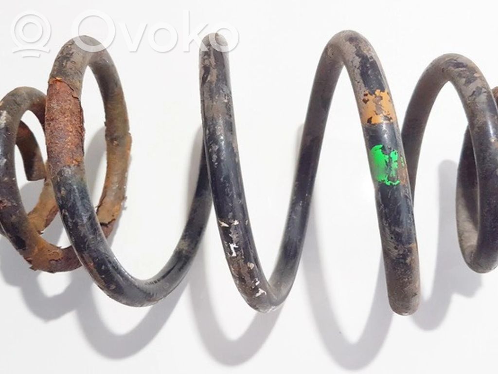 Muelle espiral trasero
