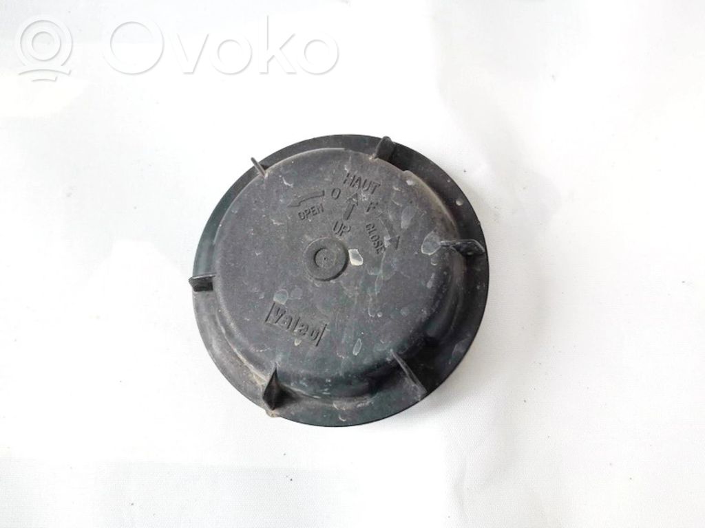 Renault Scenic I Parapolvere per faro/fanale