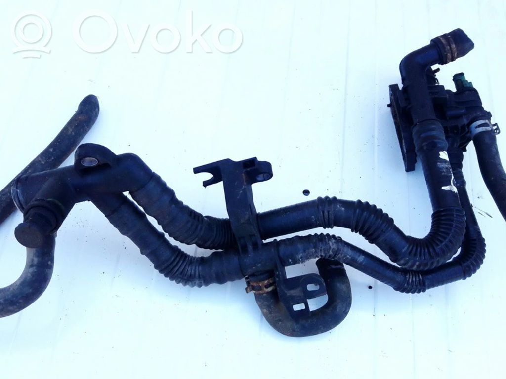 Ford Focus Conductă/furtun lichid de răcire motor