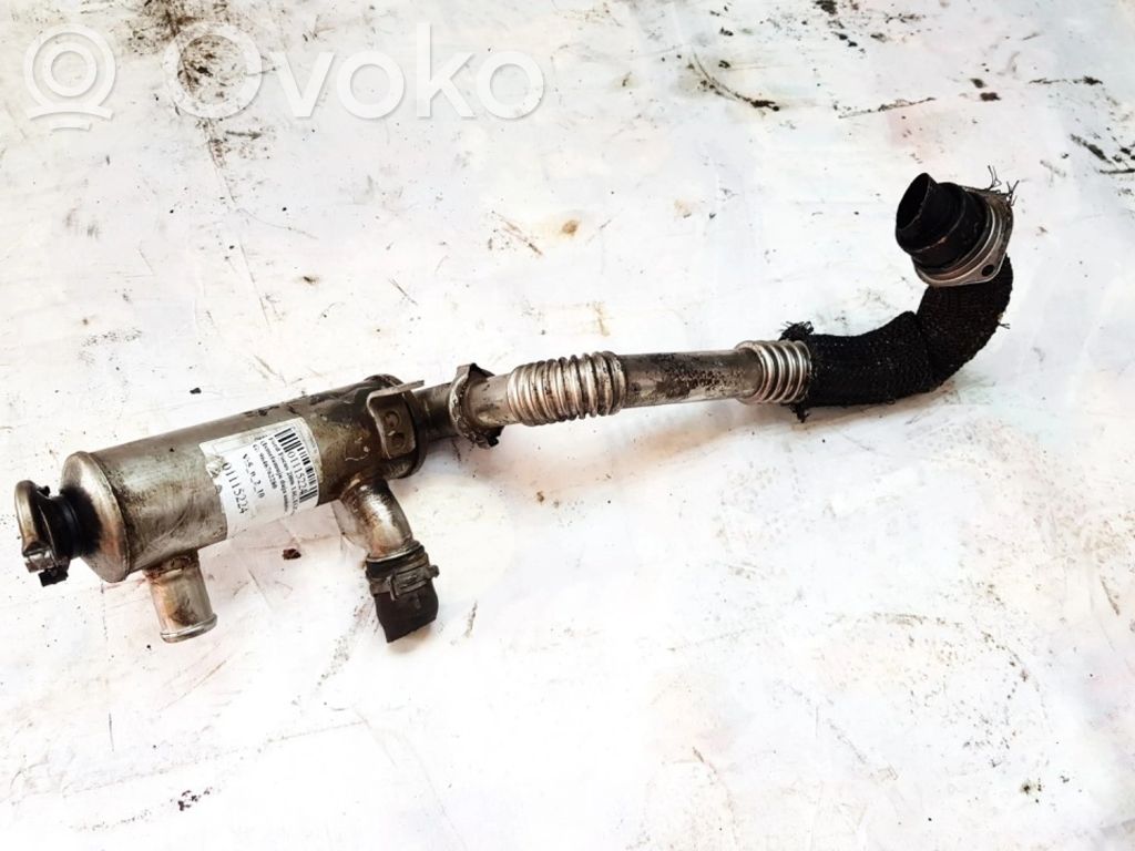 Ford Focus Valvola di raffreddamento EGR
