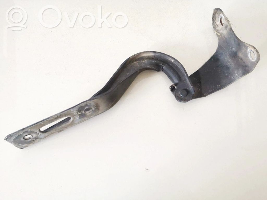 Bisagras del capó/tapa del motor