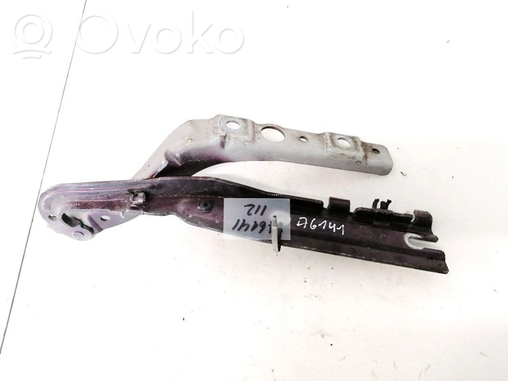 Peugeot 407 Balamale capotă 