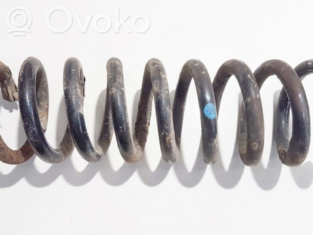 Rear coil spring