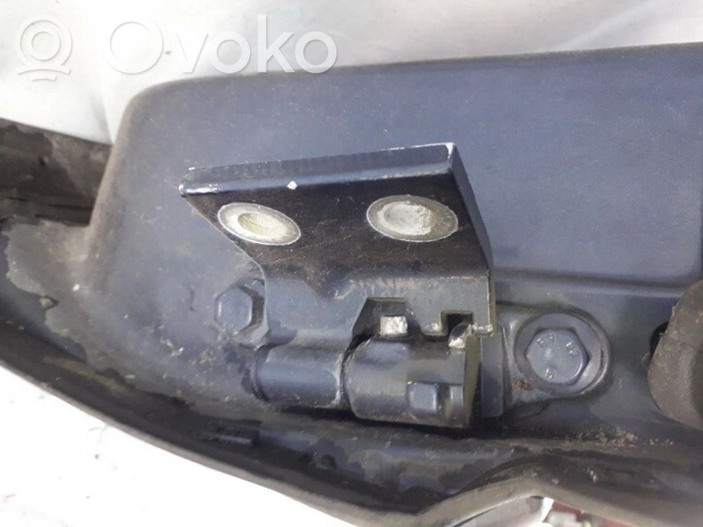 Rear door lower hinge
