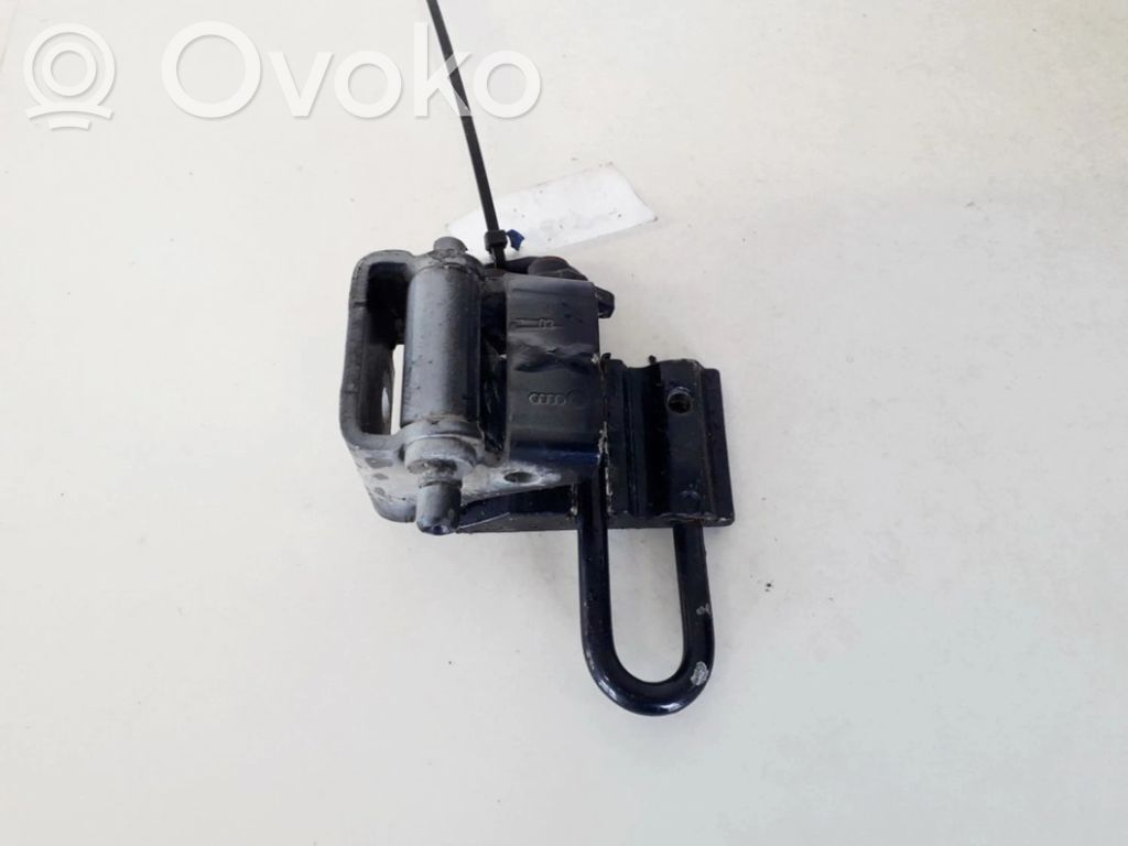 Rear door lower hinge
