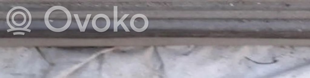 Listón embellecedor de la puerta delantera (moldura)