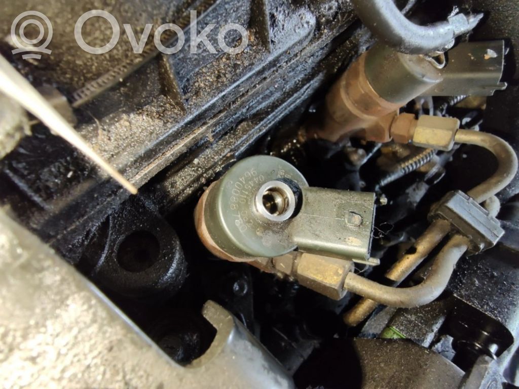 Peugeot 406 Injector combustibil 