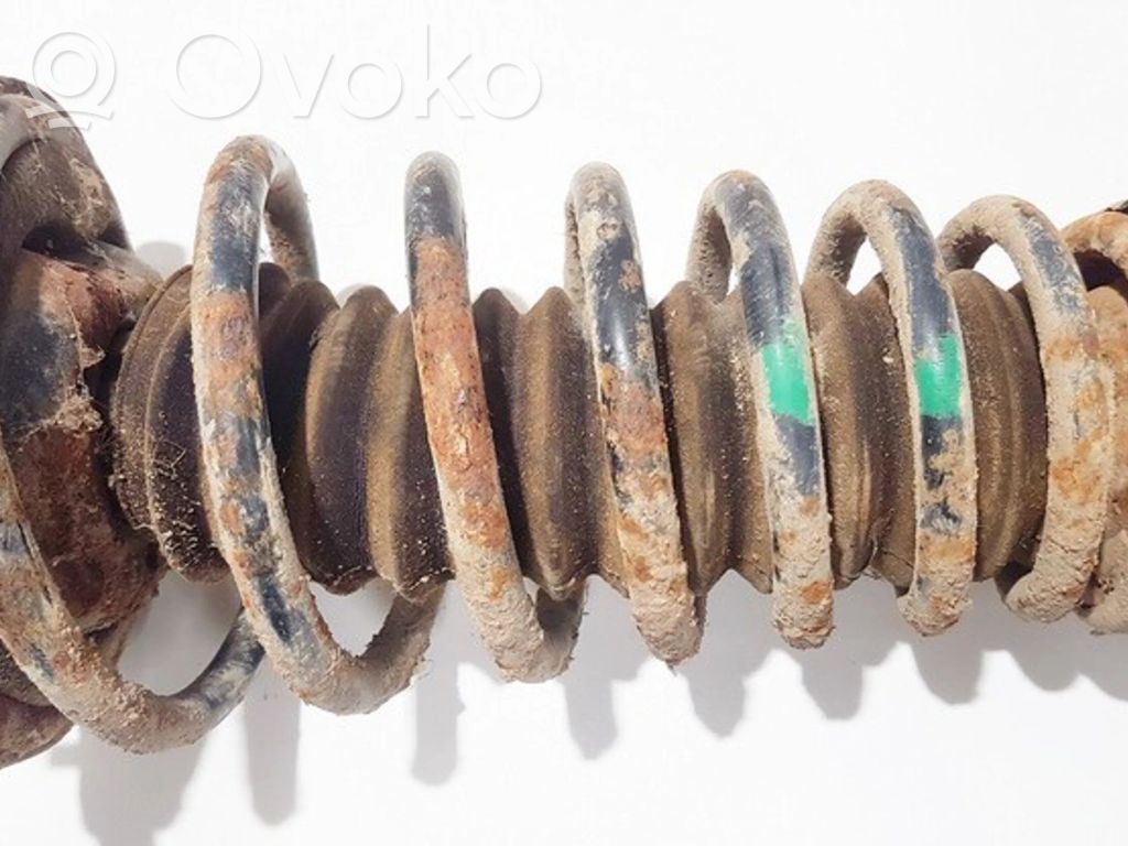 Front coil spring
