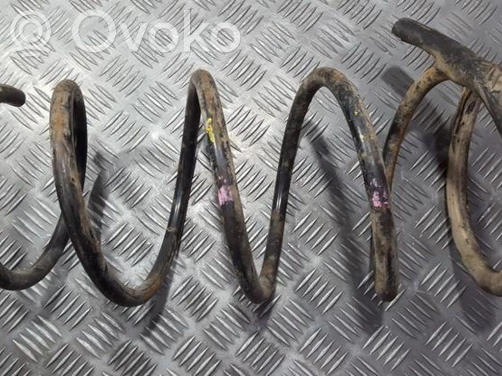 Front coil spring