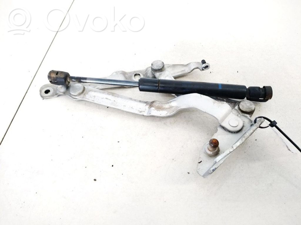 Volkswagen PASSAT B5 Cerniera portellone posteriore/bagagliaio