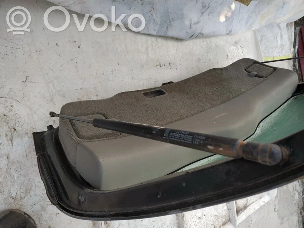 Tailgate/trunk strut/damper