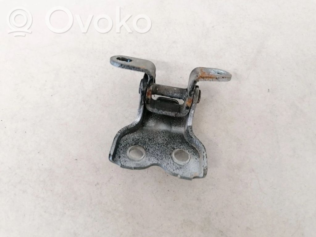 Rear door lower hinge