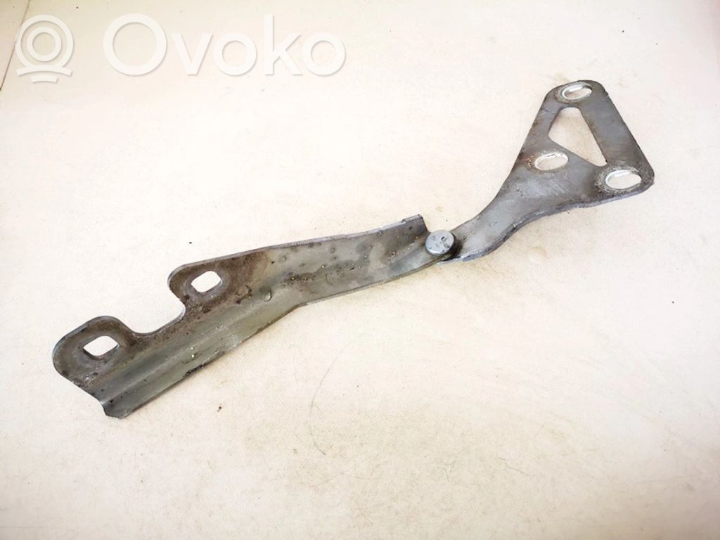 Opel Signum Balamale capotă 