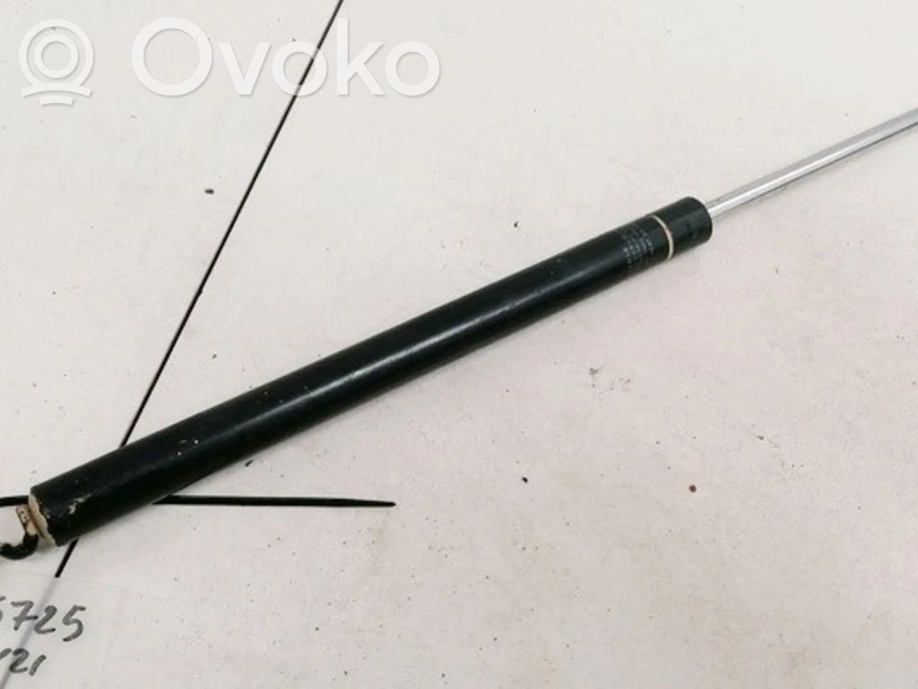 Tailgate/trunk strut/damper