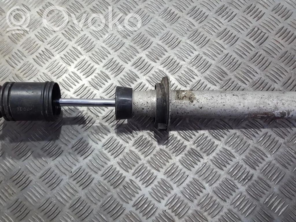 Stoßdämpfer hinten   1091922,814903557170,1091922,814903557170