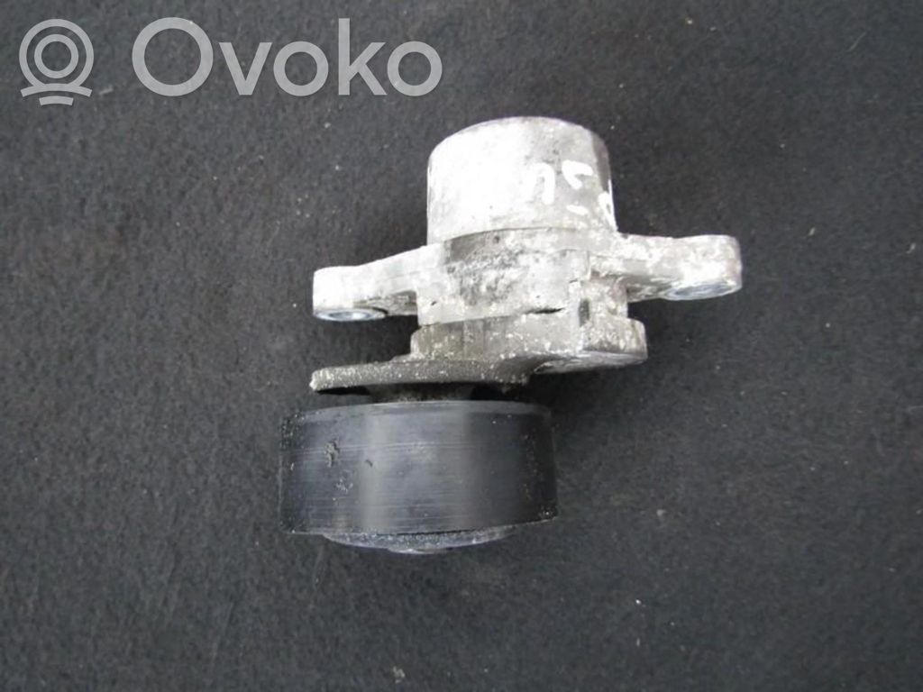 Peugeot 308 Napinacz paska alternatora 