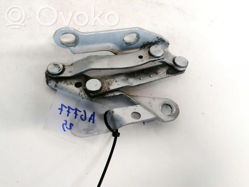 Volkswagen Sharan Cerniere del vano motore/cofano 