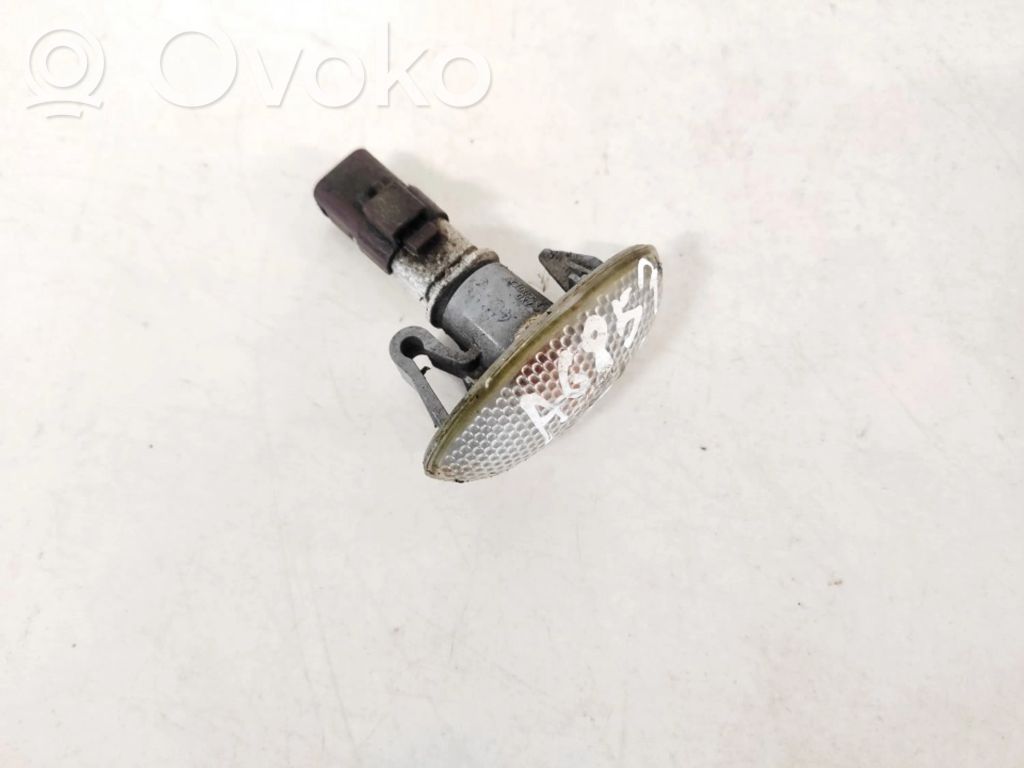 Front fender indicator light