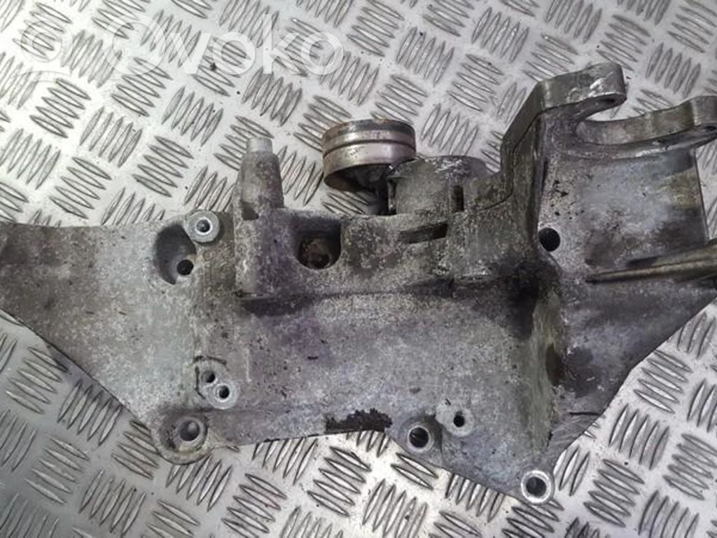 Renault Laguna II Întinzător curea generator/alternator 