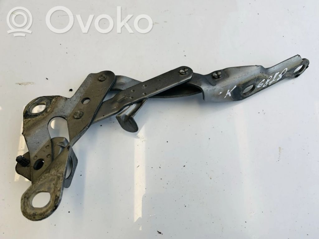 Ford Galaxy Balamale capotă 