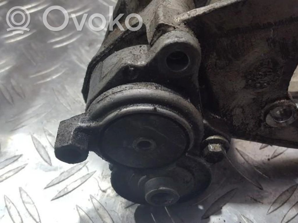 Land Rover Freelander Napinacz paska alternatora 