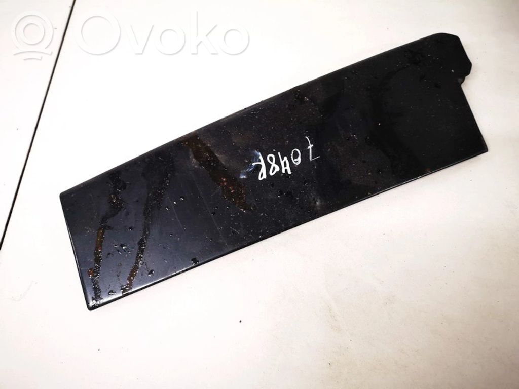 Audi A3 S3 8P Front door glass trim molding 