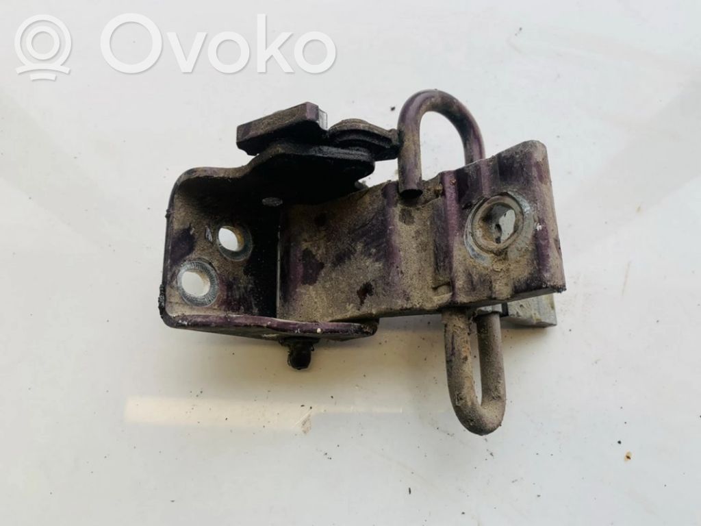 Rear door lower hinge