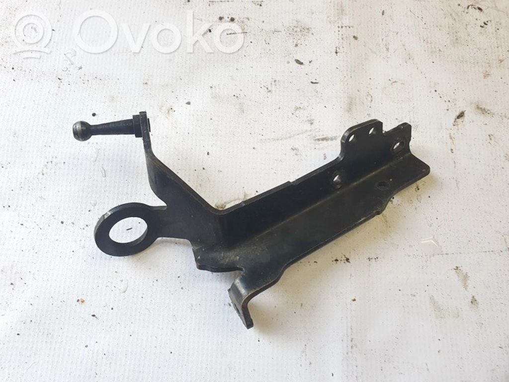 Renault Megane III Engine mounting bracket 