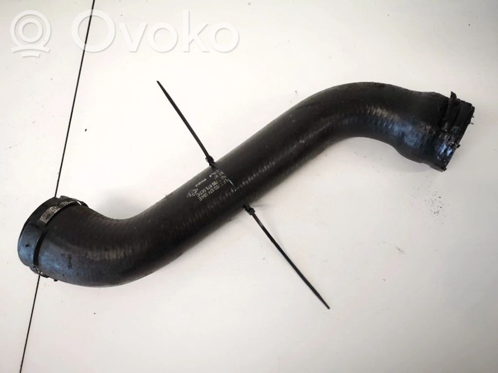 Renault Scenic I Furtun/conductă intercooler 