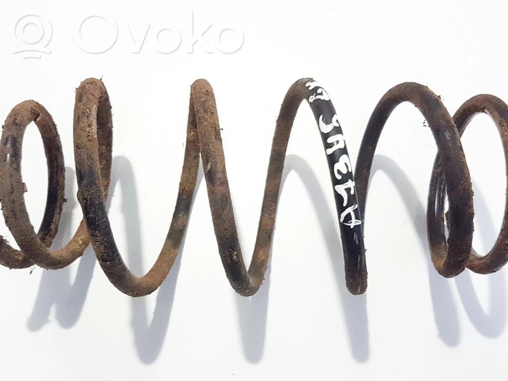 Rear coil spring