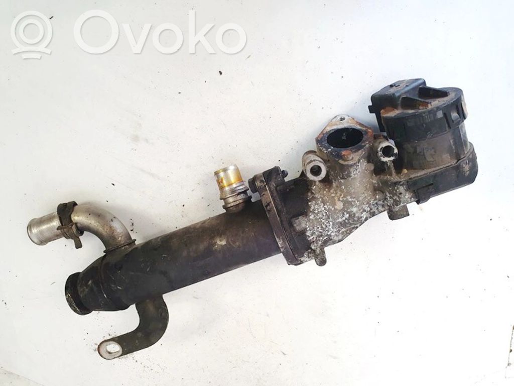 Peugeot 407 Răcitor supapă EGR 