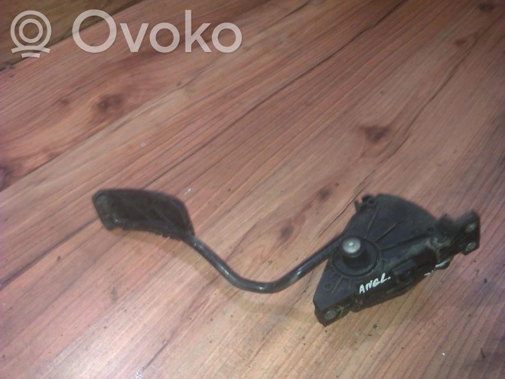 Renault Vel Satis Kaasupoljin 