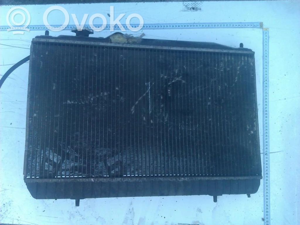 Hyundai Lantra I Radiator lichid răcire 