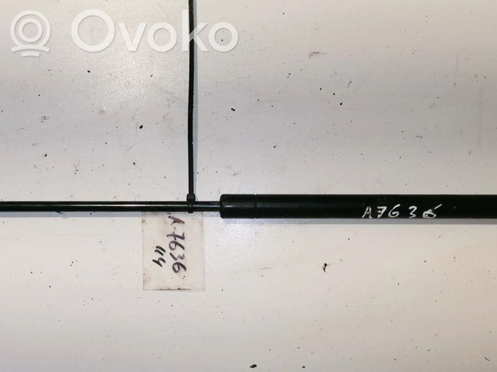 Amortizor hayon   217HP,217HP