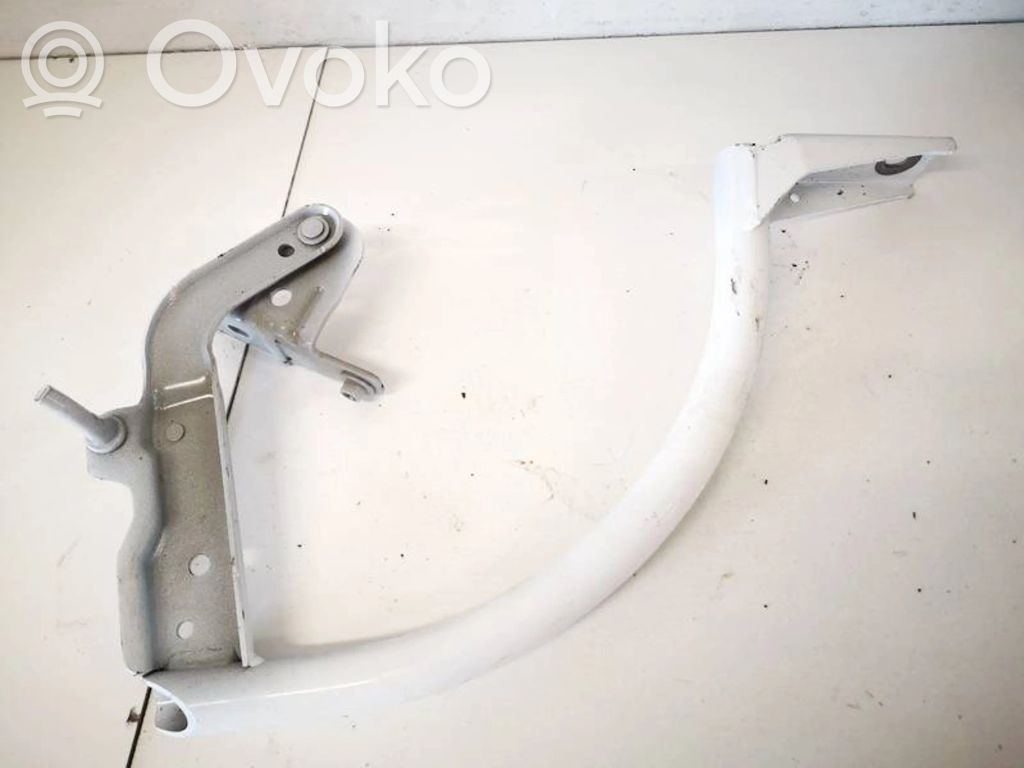 Ford Focus Bisagra del maletero/compartimento de carga