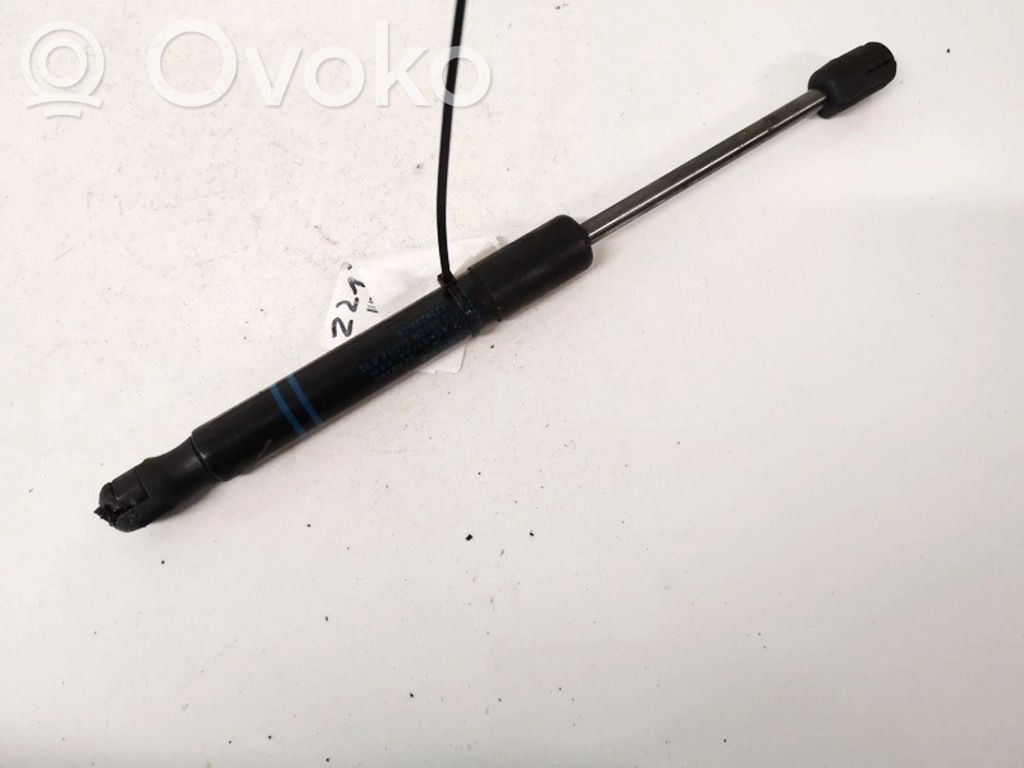 BMW 1 F20 F21 Ammortizzatore portellone anteriore/cofano