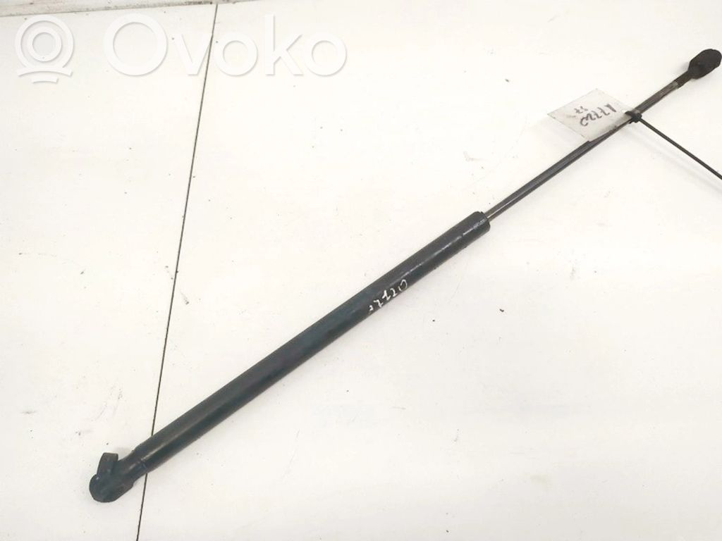 Ford Focus C-MAX Ammortizzatore portellone posteriore/bagagliaio