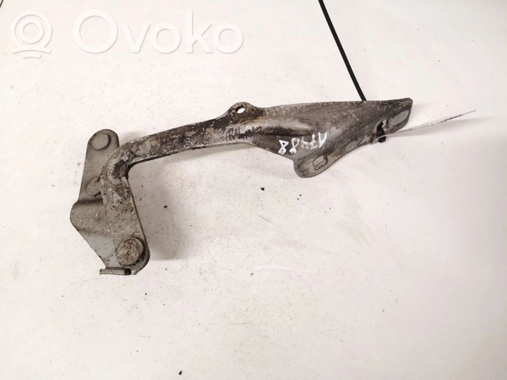 Ford Focus Dzinēja pārsega eņģe (-es) 