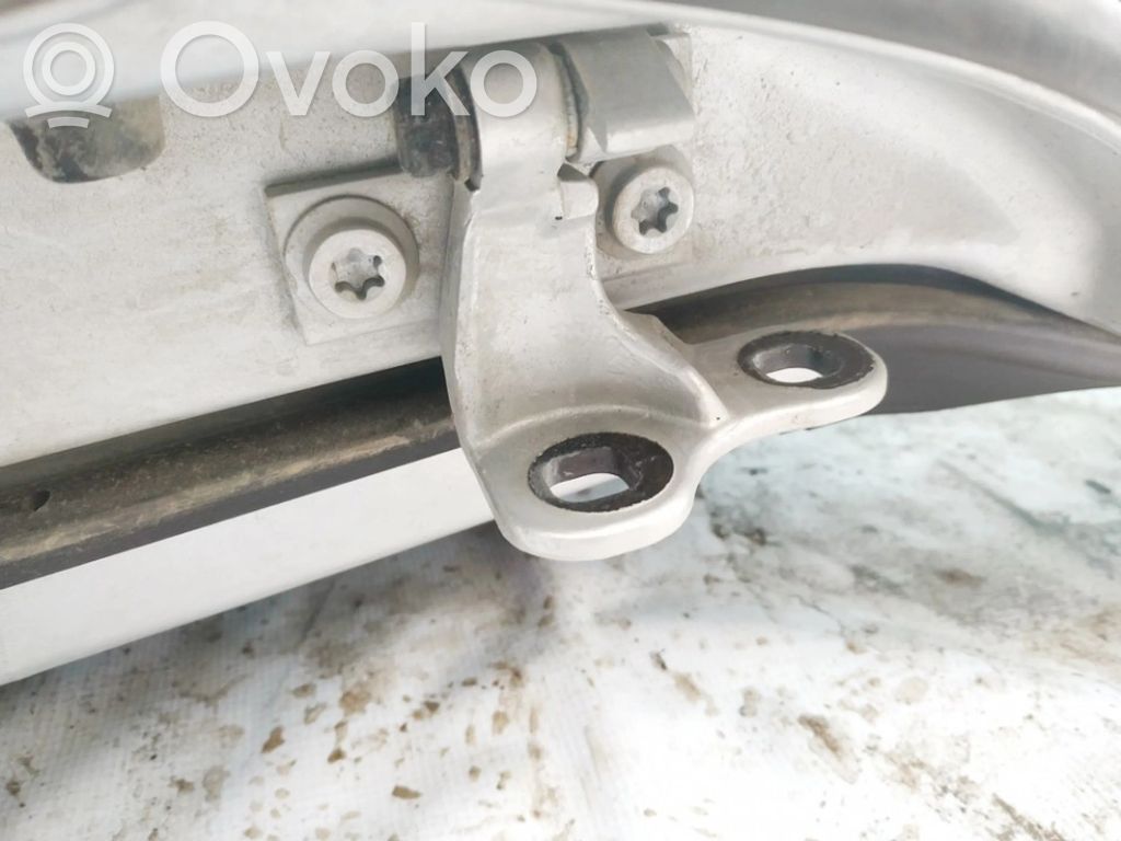 Unteres Scharnier Tür hinten