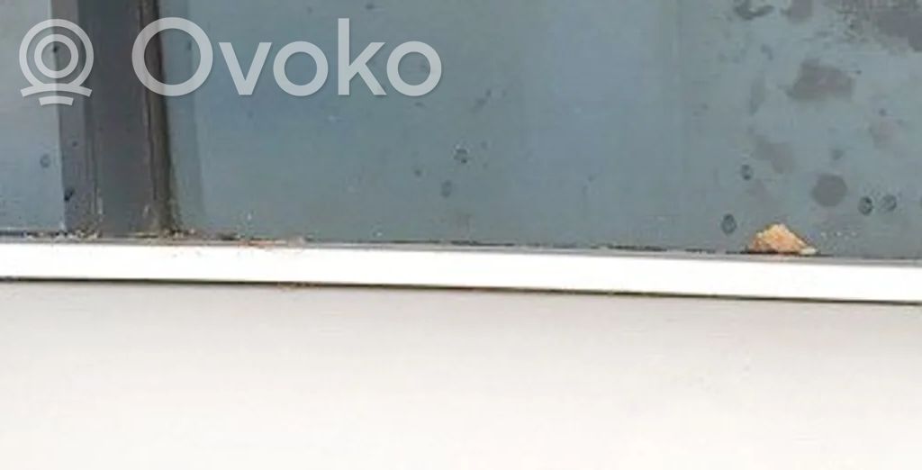 Verkleidung Türfenster Türscheibe hinten