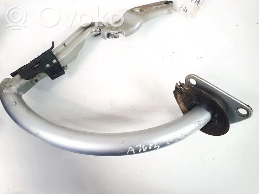 Volkswagen PASSAT B6 Cerniera portellone posteriore/bagagliaio 