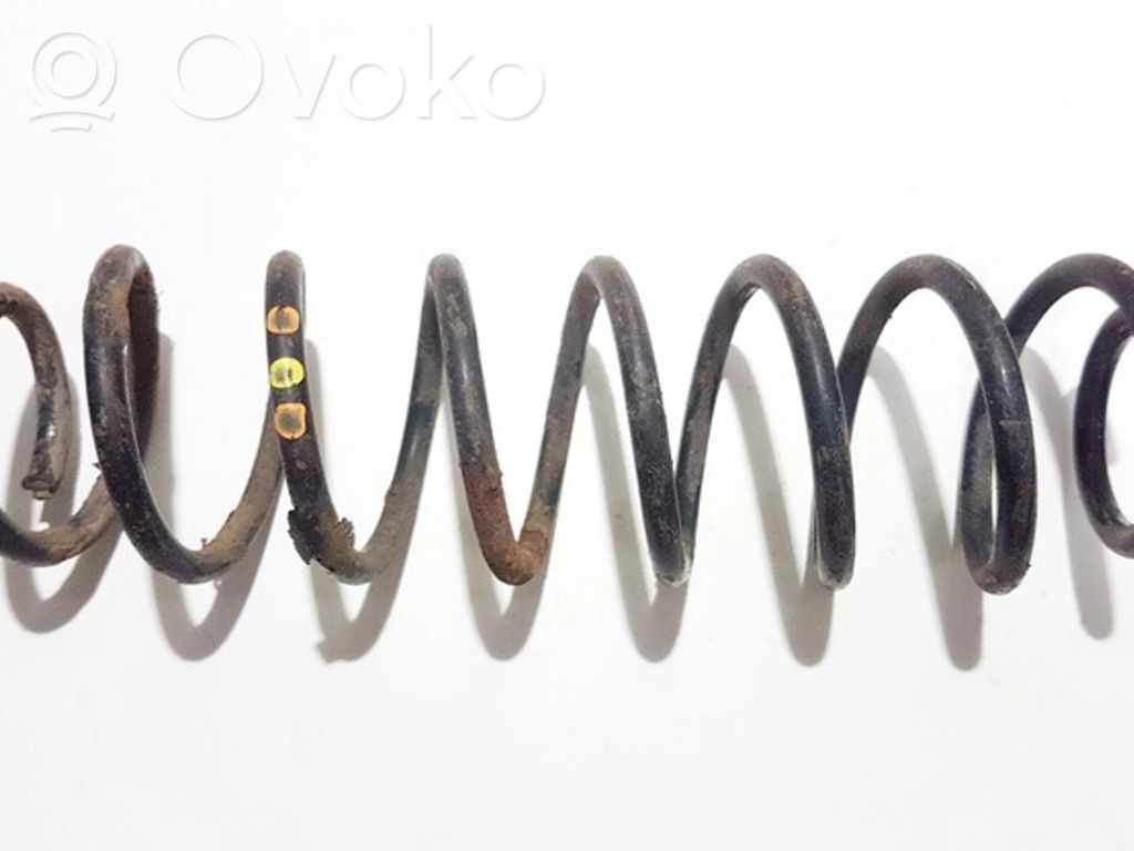 Muelle espiral trasero