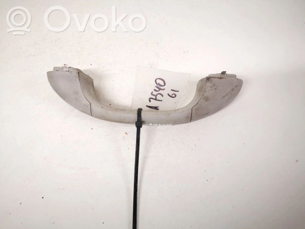 Asidero interior delantero   13550,13550