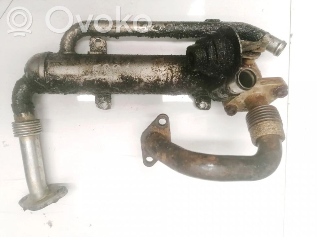Volkswagen Golf V Răcitor supapă EGR 
