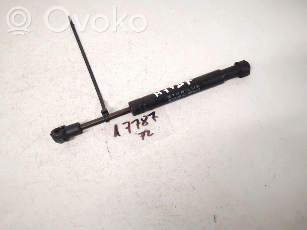 Volkswagen Touareg I Ammortizzatore portellone anteriore/cofano 
